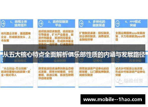 从五大核心特点全面解析俱乐部性质的内涵与发展路径