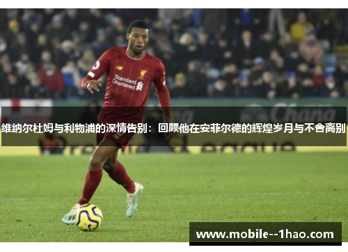 维纳尔杜姆与利物浦的深情告别：回顾他在安菲尔德的辉煌岁月与不舍离别