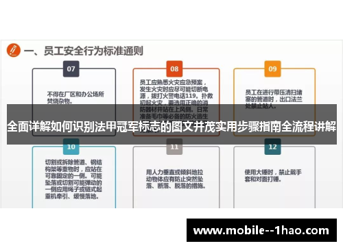 全面详解如何识别法甲冠军标志的图文并茂实用步骤指南全流程讲解 全面详解如何识别法甲冠军标志的图文并茂实用步骤指南全流程讲解