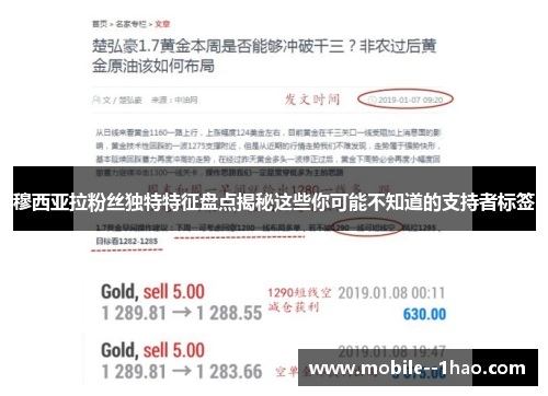 穆西亚拉粉丝独特特征盘点揭秘这些你可能不知道的支持者标签