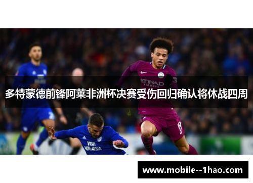 多特蒙德前锋阿莱非洲杯决赛受伤回归确认将休战四周